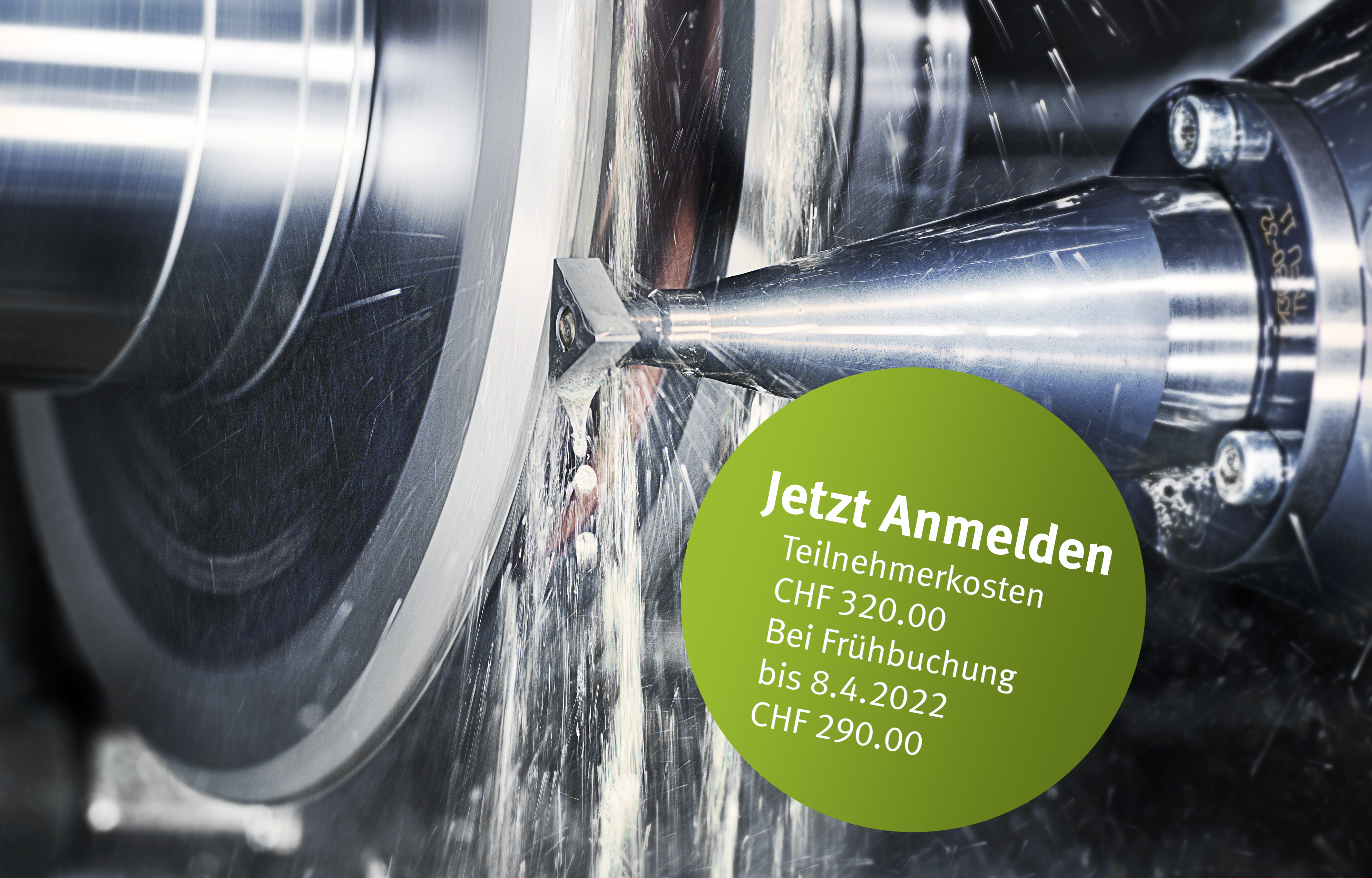 Titelbild-mit-Stoerer.jpg