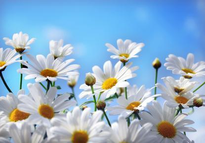 Fotolia_13584171_XS.jpg