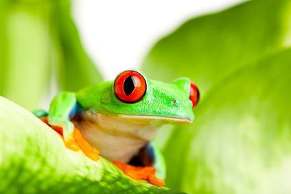 Fotolia_15476749_XS_01.jpg