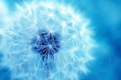 Fotolia_7842178_XS.jpg
