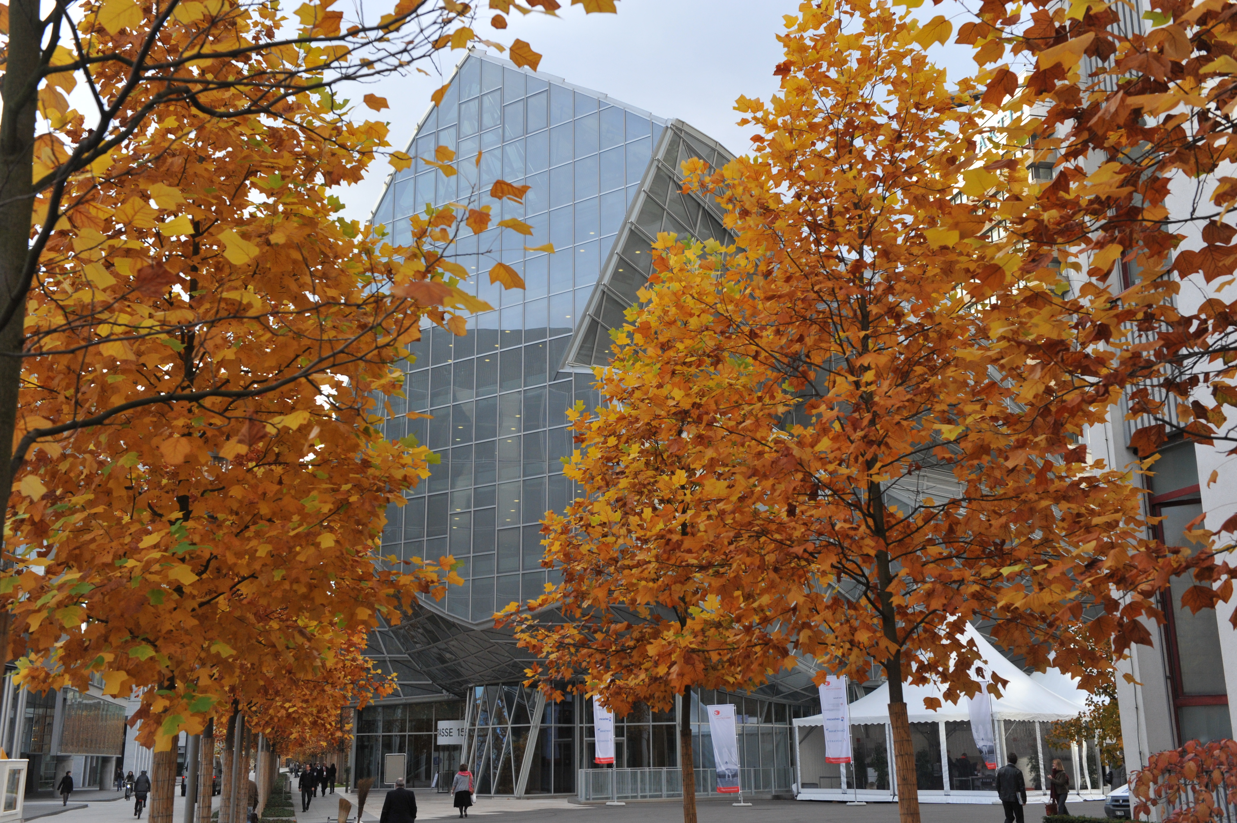 SIF10_Gehry_2.JPG